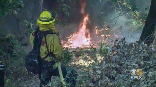 Firefighters Battling CZU Lightning Complex Hampered by Residents Who Won't Evacuate