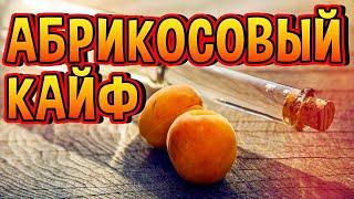 ШИКАРНЫЙ АБРИКОСОВЫЙ БРЕНДИ #мужскоехобби #самогон #бренди #обзор #домашнийвиски