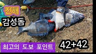 [163회]  진해 최고의 감성돔 도보 포인트  감성돔 카고낚시  봄 감성돔 대물 포인트