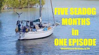 FIVE SEADOG MONTHS IN ONE EPISODE