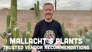 Mallacht’s Plants Trusted Vendors - Where Can I Purchase Rare Plants?