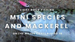 Light Rock Fishing - Mini Species And Mackerel On The Major Craft Aji-Do 1G