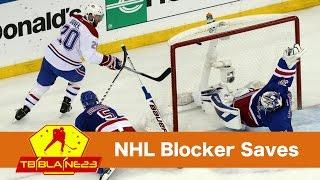 NHL Blocker Saves