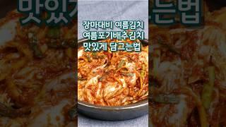 장마대비 여름배추김치 맛있게 담그는법#여름배추김치#여름배추김치담그기#배추김치