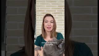 Массажист! Не выезжай к клиенту на дом! #массажист #обучениемассажу #обучениемассаж #массажлица