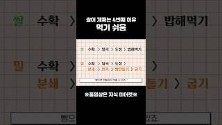 쌀의 장점, 쌀과 밀 차이, 먹기 쉬움