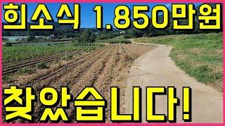 영천시 고경면 싼 땅 찾아드렸습니다. #영천부동산 매물