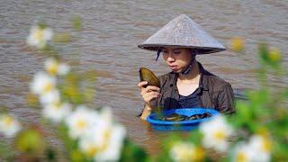 Catch the river mussels to cook porridge - Vietnam Life in The Countryside EP 14