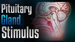  Pituitary Gland Stimulation to Release Growth Hormone with Simply Hypnotic