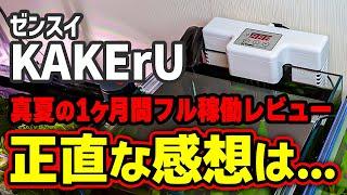 小型水槽クーラーゼンスイカケルを１ヶ月間フル稼働してみてわかったこと、感じたこと、冷却ファンとの違いなど #アクアリウム #熱帯魚