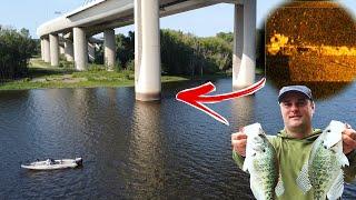 Bridge Fishing for Crappie All Year Round (How to find Crappie)