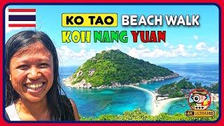 ️Koh Nang Yuan - KO TAO THAILAND  (Paradise found-perfect beach!) 4K Walking Tour / 4k Beach Walk