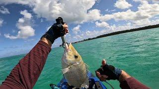 Capitain Season is here!! Fishing Beach Mauritius 2024