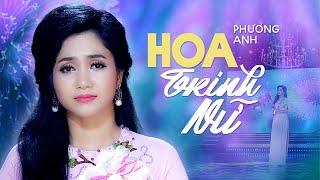 Hoa Trinh Nữ -  Phương Anh (Á Quân Thần Tượng Bolero 2016) | 4K MV Official