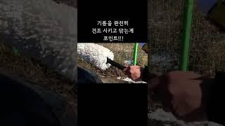 3천원으로 기름걸레 만들기 #shorts