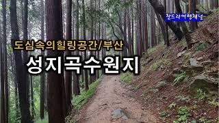 성지곡수원지/부산