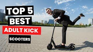 Top 5: BEST Adult Kick Scooters (2024)