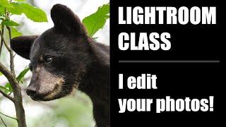 Lightroom Editing Class (I edit your photos)