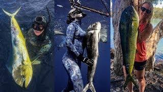 Spearfishing Dorado - Mahi Mahi Madness - (Underwater Ally Adventures) Ep.24