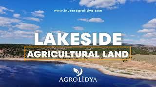 Lakeside Agricultural Investment - Walnut Farmland #farming #investing #investment