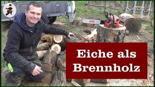 Eiche als Brennholz