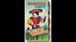 tarot de marseille du chat
