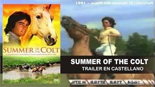 Summer Of The Colt (1991)