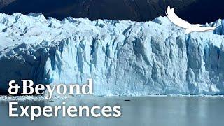 Perito Moreno Glacier | Los Glaciares National Park | Argentina