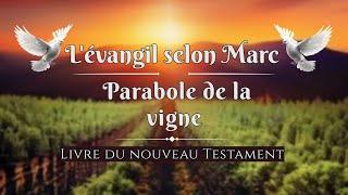 La Parabole de la Vigne de Jésus-Christ «  Selon l'évangile Marc » | La Sainte Bible En Audio VF