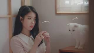 경동제약 그날엔 멍때리기 광고심의필:2019-1472-000305