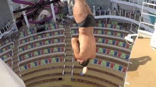 Osler Gil High Diver 2018