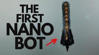 How Nano Robots Will Change Medicine Forever | NanoSyrinx