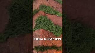 Круто сделано. Старый кирпич и мох #shortvideo #shorts #мох #дизайн #красиваястена  #ремонтквартиры