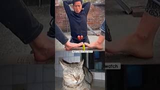 10X zoom #cat #memes #shorts