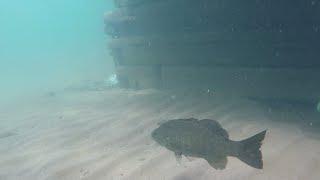 Scuba Duluth Canal Park Breakwater