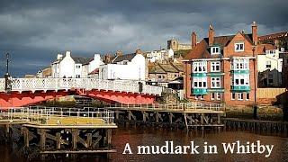 A Patch of Potential; Modest treasure and history hunting, on the Whitby foreshore.