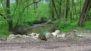 Overlanding Mohican Ohio Region