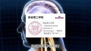 惊人发现：记忆竟刻在DNA里，长期记忆形成机制揭秘