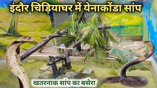 Indore Zoo | सांप घर | indore zoo snake house |