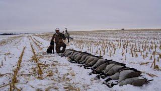 Late Season Goose Hunting