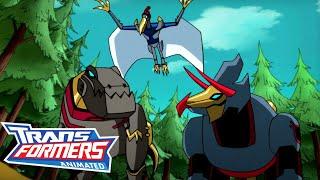 Transformers: Animated | SEASON 2 | COMPLETE SEASON | Cartoon | Transformers Official