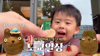 훈육이란..🫠일본의 귀여운 디저트! 곤충채집 후 집에서 하는 홈케어 (SKIN1004, 아페리레)