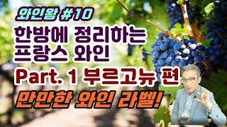 [와인왕#10]한방에 정리하는 프랑스 와인등급(부르고뉴편) - Class for Wine Beginner