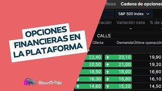 Vistazo práctico de las opciones en la plataforma de BisonTrade