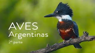 Aves Argentinas.  Segunda parte