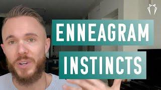 What are the Enneagram Instincts?