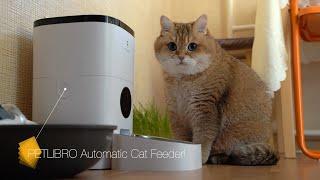 PETLIBRO Automatic Cat Feeder!