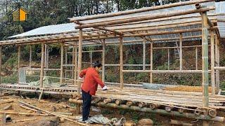 Losing a home, losing a loved one, a young girl built a resort out of bamboo alone