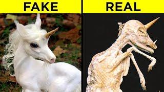 Legendary Creatures That Actually Exist In Real Life