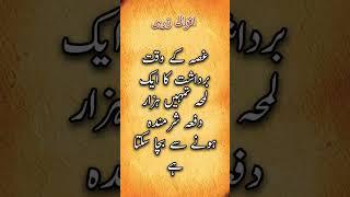 Iqwaly zare #shorts #amazing #islam #poetry #viralvideo